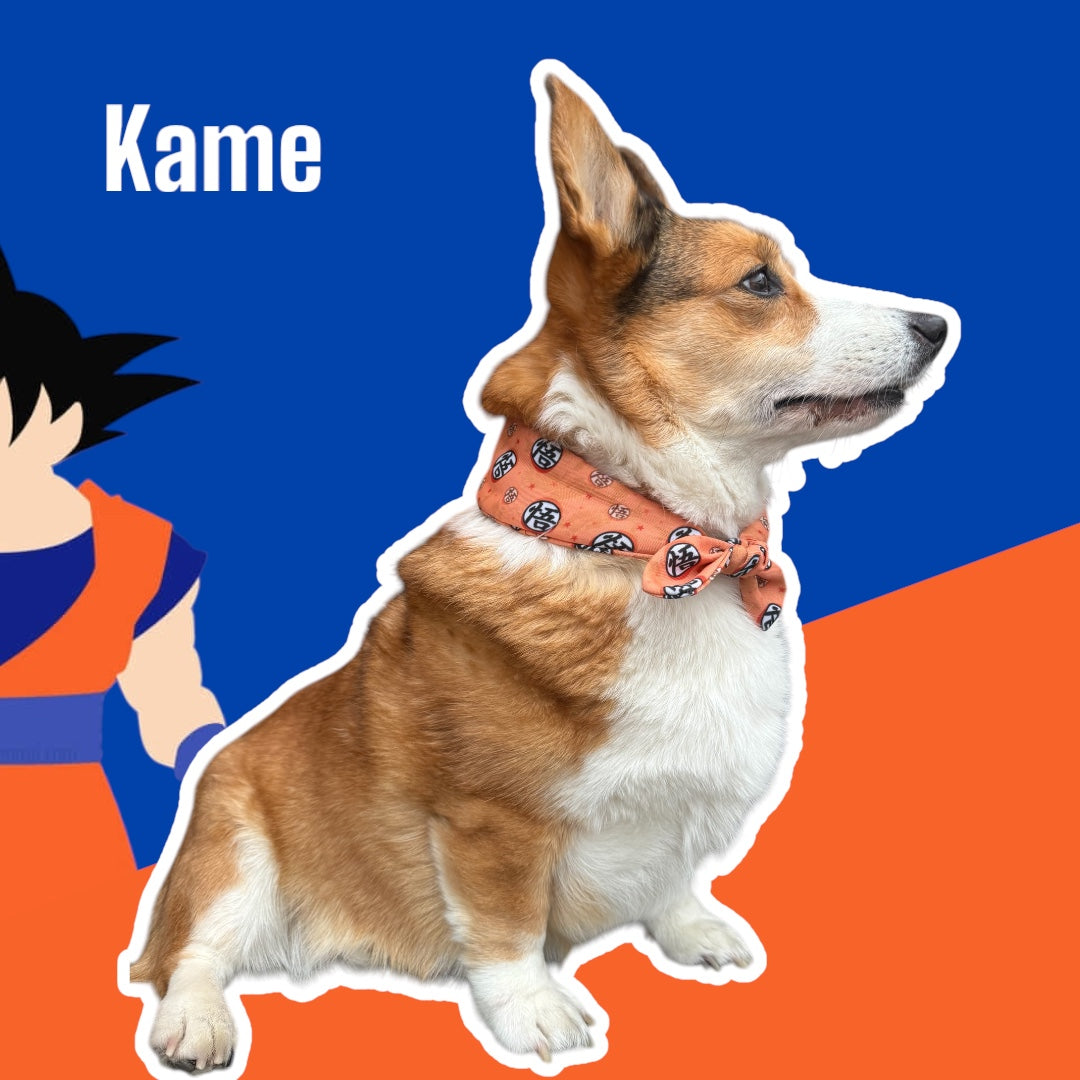 Anime Line - Kame scarf