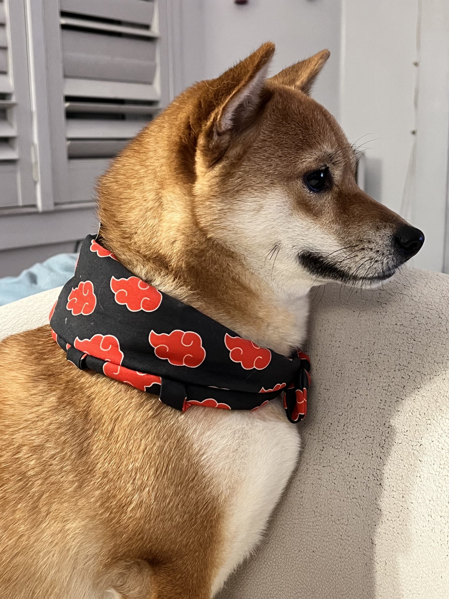Anime scarf red clouds