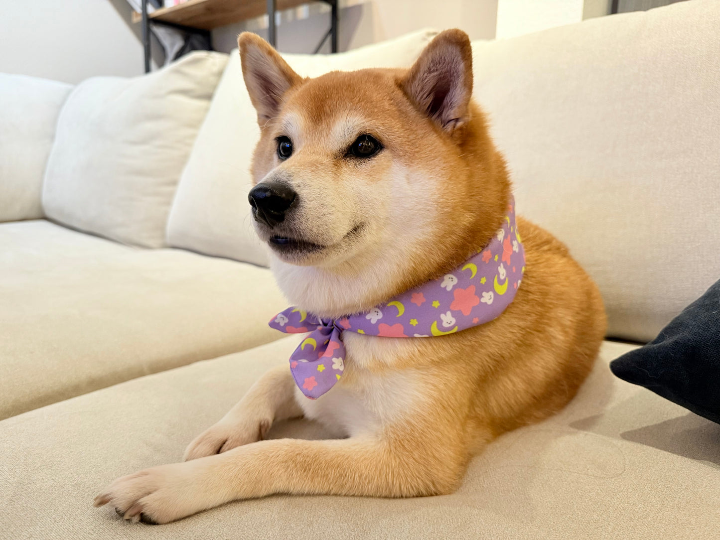 Anime scarf moon rabbits