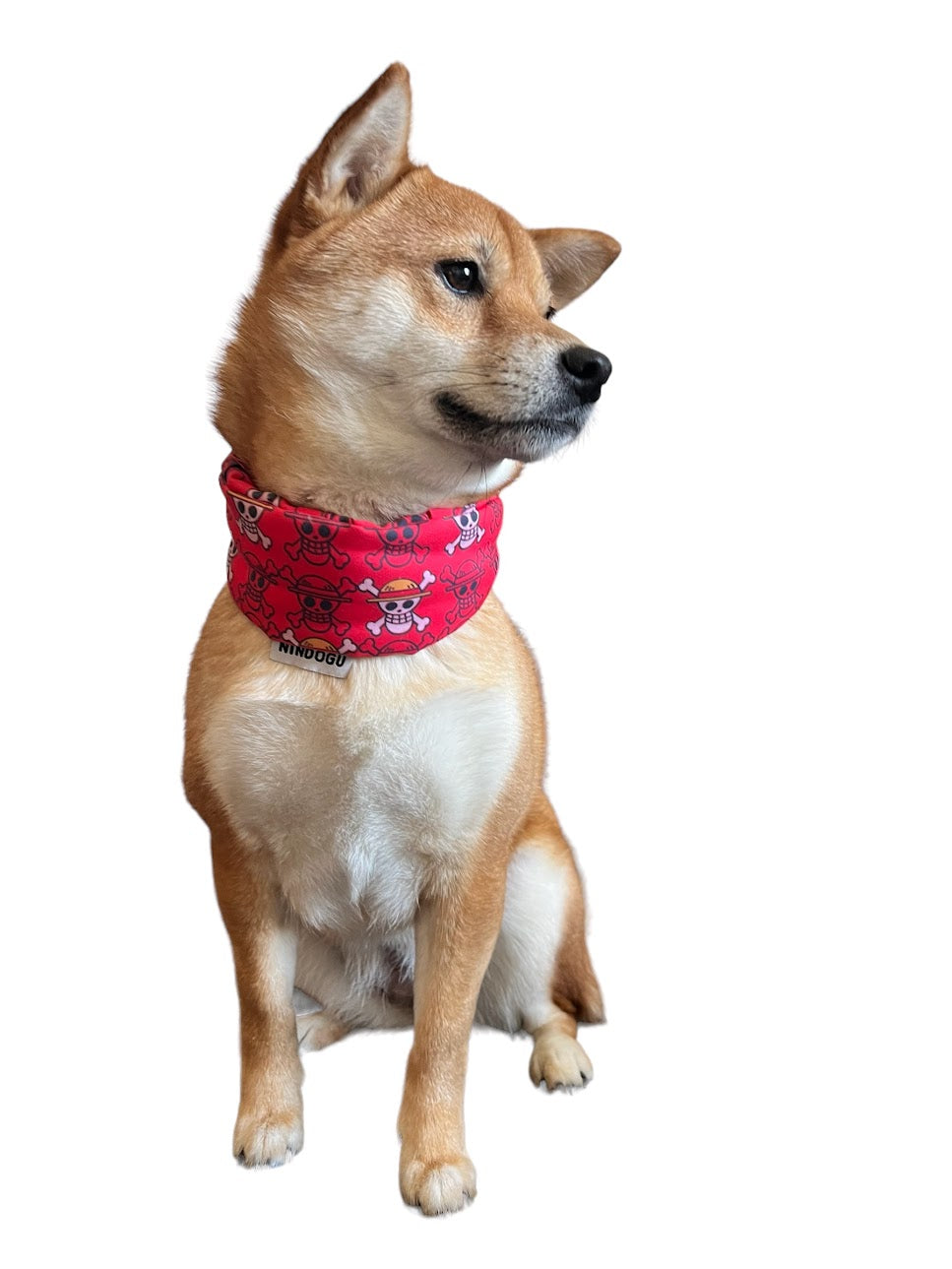Anime scarf pirates