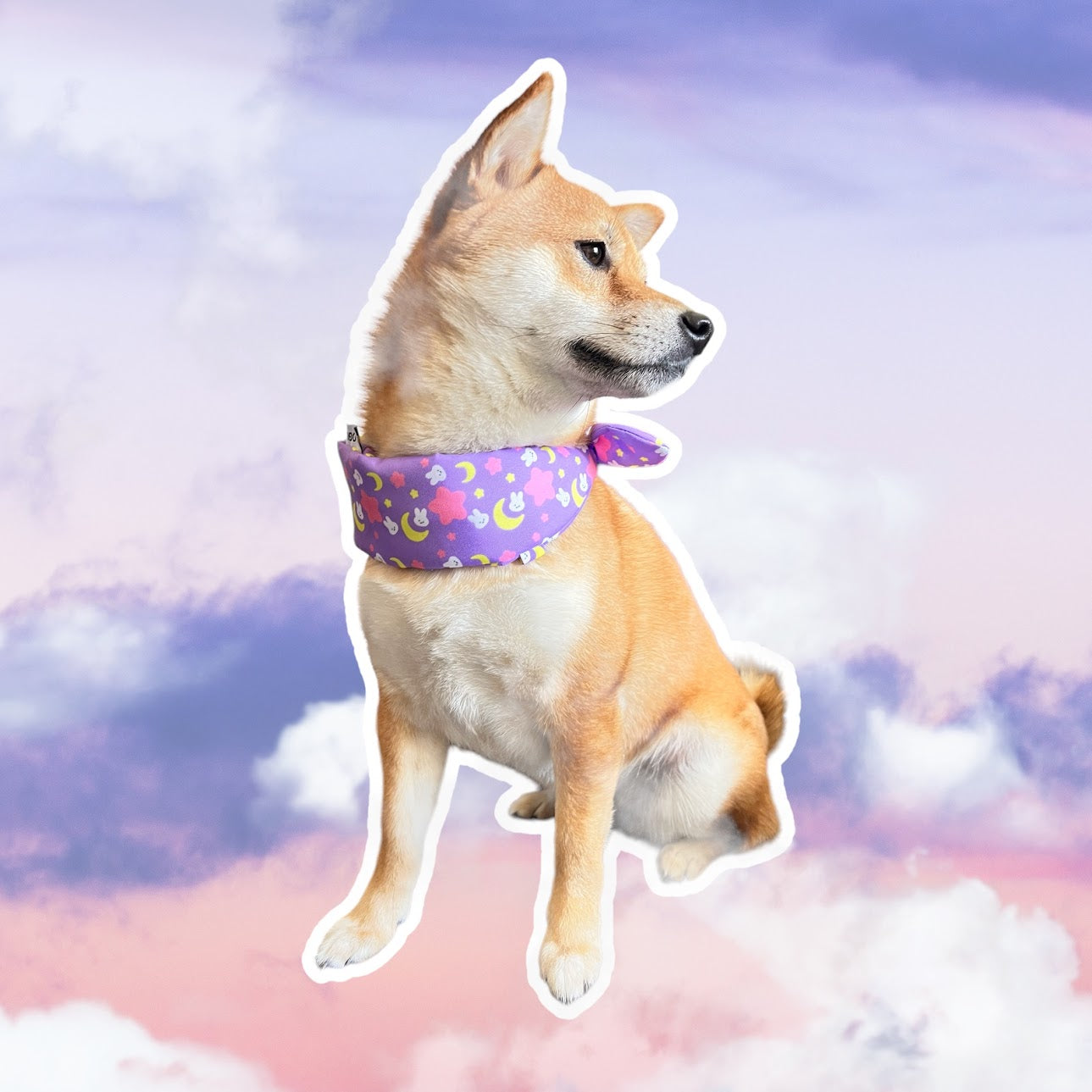 Anime scarf moon rabbits