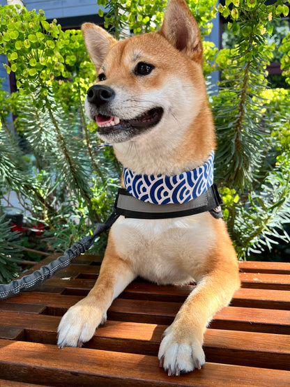 Cute Shiba Dog Scarf - Blue Ocean Waves