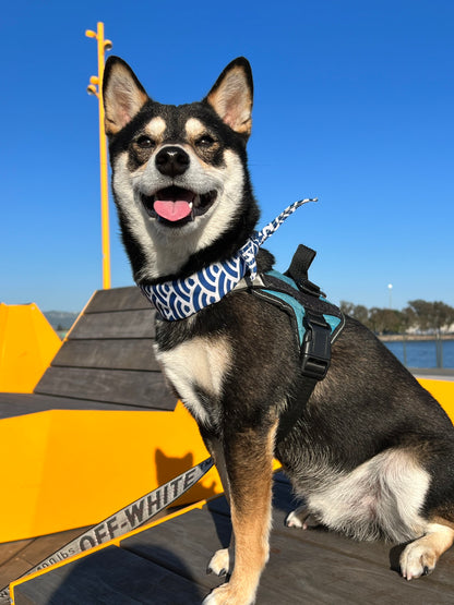 Cute Shiba Dog Scarf - Blue Ocean Waves