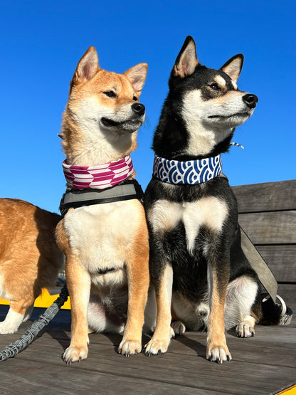 Cute Shiba Dog Scarf - Blue Ocean Waves