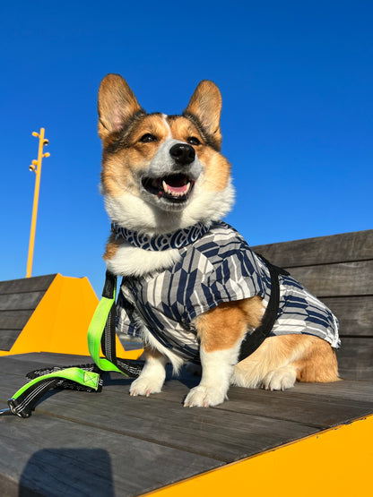 Cute Shiba Dog Scarf - Blue Ocean Waves